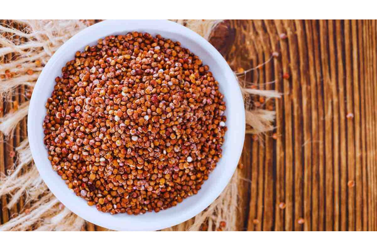 Quinoa